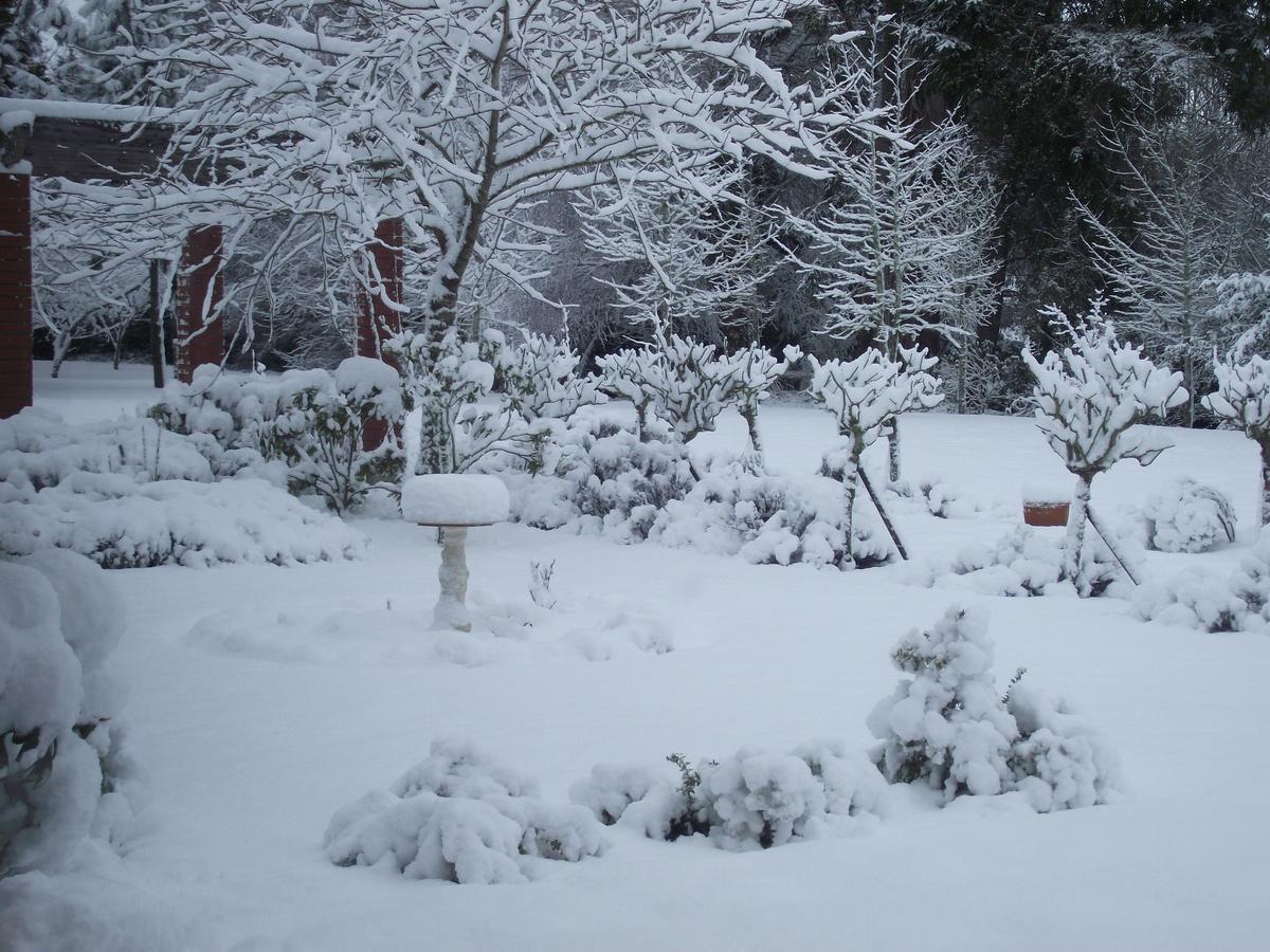 Shamrock Garden B&B Airport Christchurch Luaran gambar