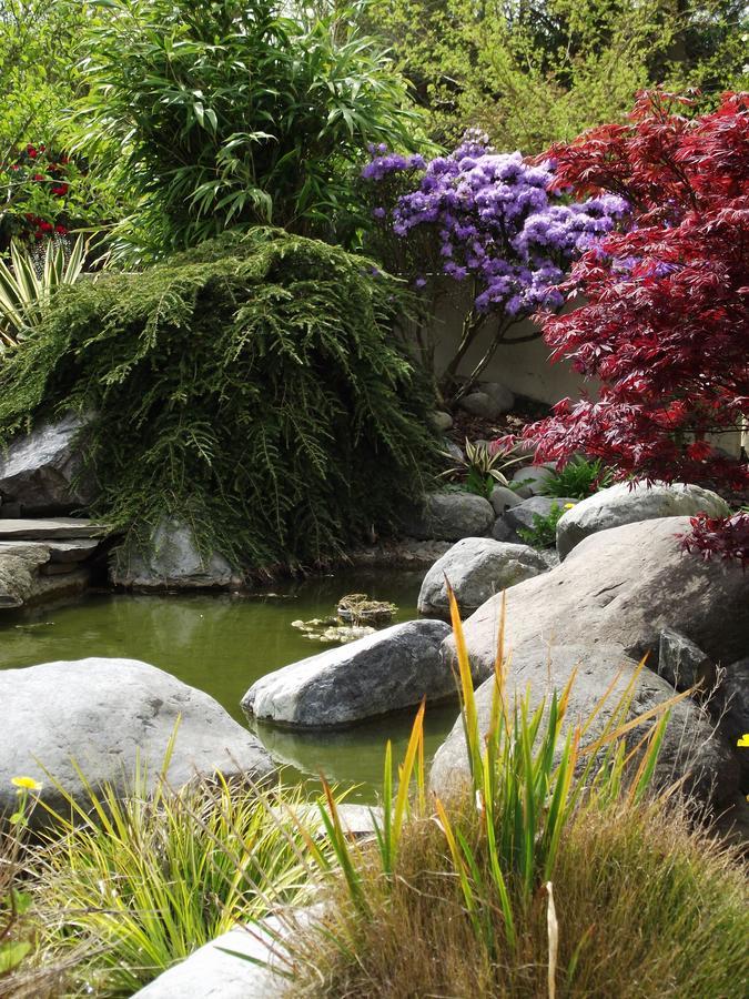 Shamrock Garden B&B Airport Christchurch Luaran gambar